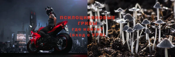 молекула духа Алексин