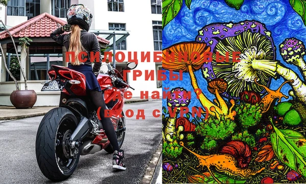 PSILOCYBIN Алзамай