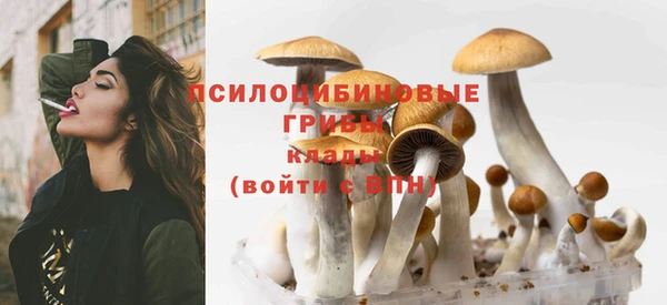 кристаллы Алексеевка