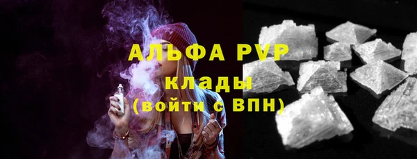 PSILOCYBIN Алзамай