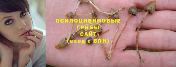 молекула духа Алексин
