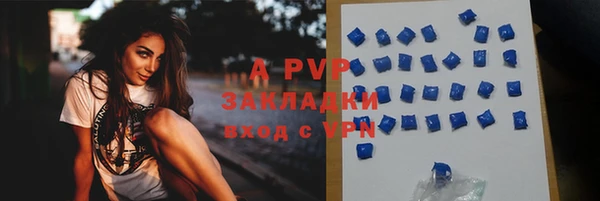 молекула духа Алексин