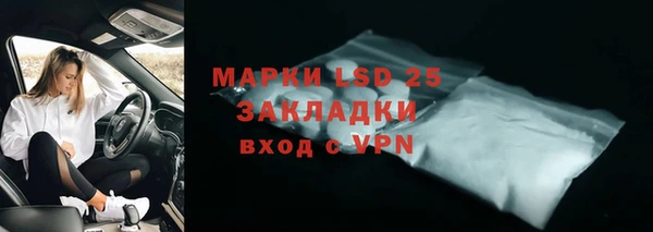 PSILOCYBIN Алзамай