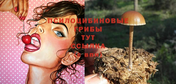 PSILOCYBIN Алзамай