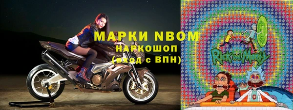 PSILOCYBIN Алзамай